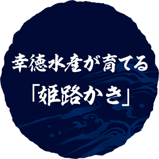 技術力の高い職人